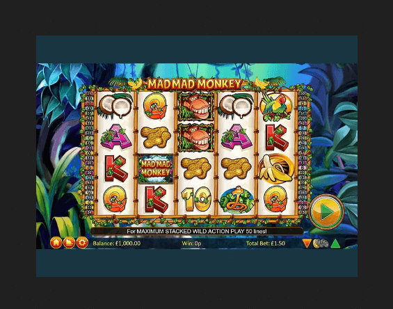 Mad Mad Monkey Online Slot Features